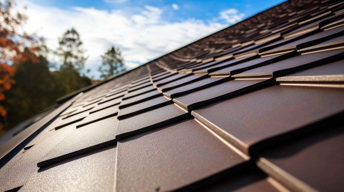 Environmentally Friendly Roofing Options: Your Sustainable Choice