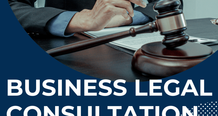 1 Hour - Business Legal Consultation - Charis Legal Practice